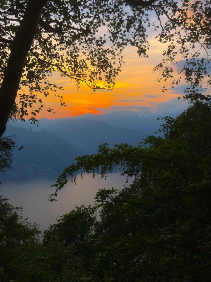 Il Larice D' Oro Lejlighedshotel Sueglio Eksteriør billede